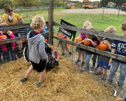 243428066_4409328099103214_516131722462332363_n