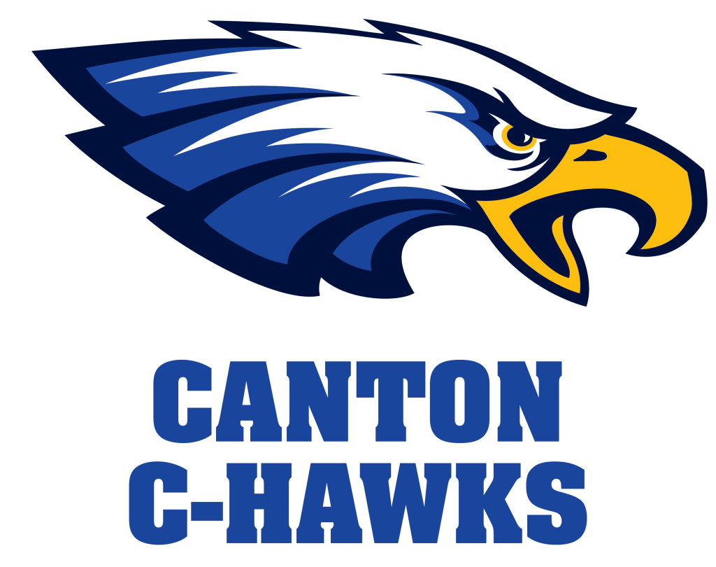 C-Hawk TextLogo_BlueGradient