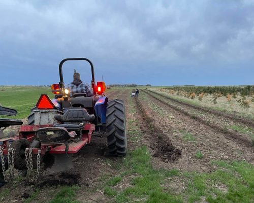 Kevin_Tractor_Planting