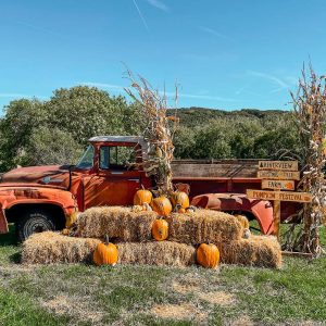 Riverview-Tree-Farm-Photo-Display-Truck-Pumpkin-Festival
